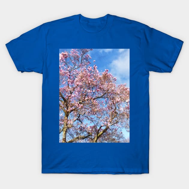 Spring - Magnolia Against the Sky T-Shirt by SusanSavad